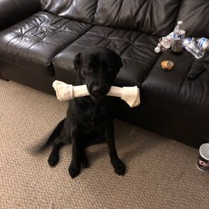 Meet your Posher, Jacob